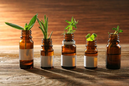 best cbd oil for dogs for sale
