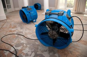 water damage restoration in Leawood
