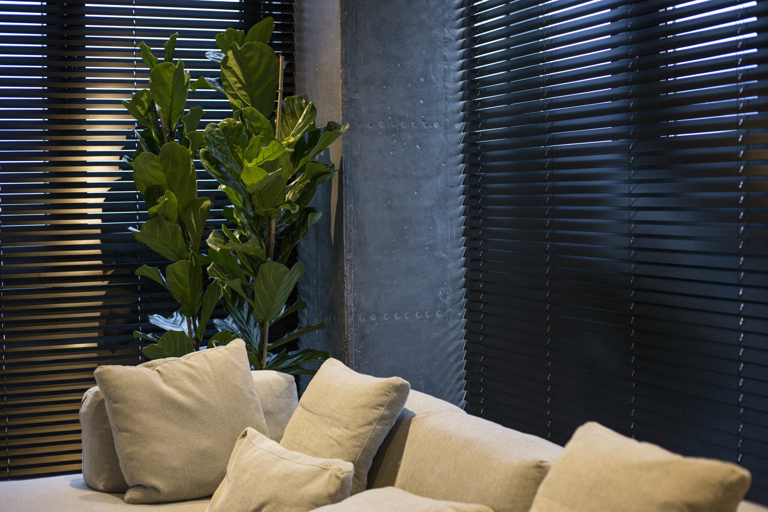 interior plantation shutters