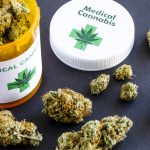 Green Knowledge at Your Fingertips: The Power of Online Cannabis Information for health