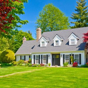 the property buying company reviews