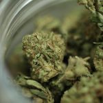 Negotiating the New Cannabis terrain: knowing HHC from Delta 8