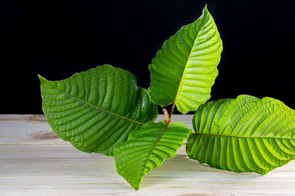 Kratom: The Natural Solution for Increased Energy and Mental Clarity