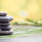 health and wellness advent calendar