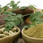 Full Spectrum Kratom Options Featuring Diverse Alkaloid Content In Extracts