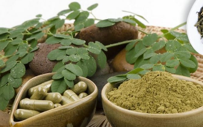 Full Spectrum Kratom Options Featuring Diverse Alkaloid Content In Extracts