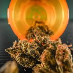 Building Healthier Wind-Down Habits Through Quality Hemp Flower